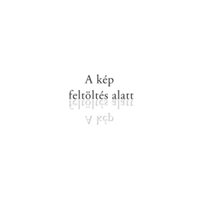  1516 Falitartó hajlított, 30cm