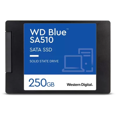 WESTERN DIGITAL WDS250G3B0A SSD 250GB